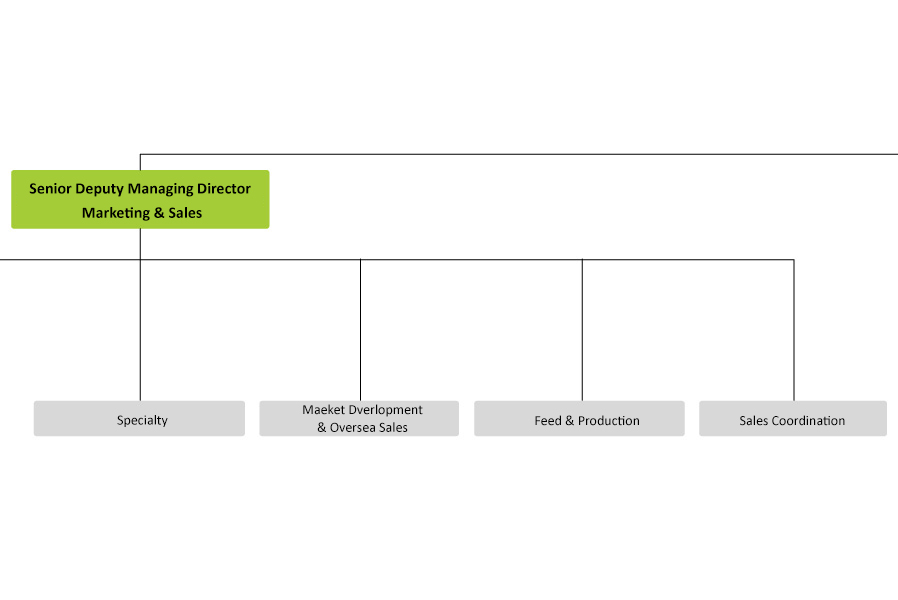 Louis Vuitton Organizational Chart